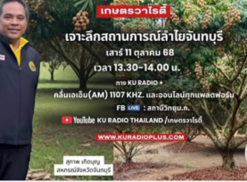 เจาะลึกสถานการณ์ลำไยจันทบุรี
