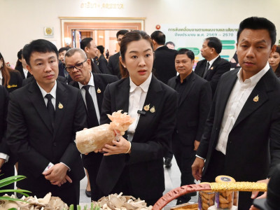 นางสาวปิยะรัฐชย์ ติยะไพรัช ... พารามิเตอร์รูปภาพ 29