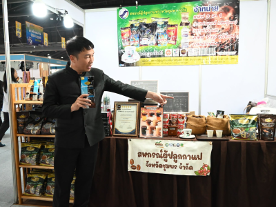 นายอนุทิน ชาญวีรกูล ... พารามิเตอร์รูปภาพ 24