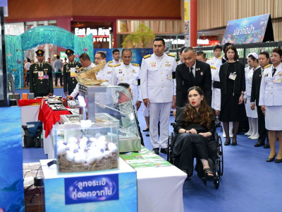 สมเด็จพระเจ้าน้องนางเธอ เจ้าฟ้าจุฬาภรณวลัยลักษณ์ ... พารามิเตอร์รูปภาพ 23
