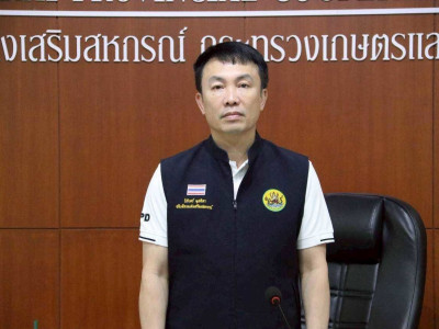 อธิบดีกรมส่งเสริมสหกรณ์ ... พารามิเตอร์รูปภาพ 8