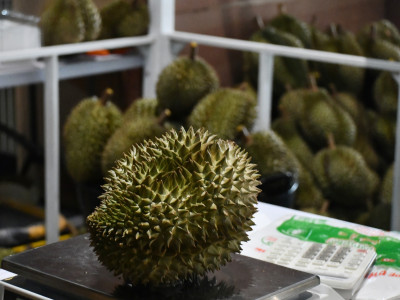 กระทรวงเกษตรและสหกรณ์เดินหน้าขยายช่องทางตลาดสินค้าสหกรณ์ต่อเนื่องยกขบวนความอร่อยและสินค้าอัตลักษณ์จากสหกรณ์บุกรัฐสภา ... พารามิเตอร์รูปภาพ 11