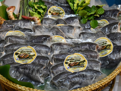 กระทรวงเกษตรและสหกรณ์เดินหน้าขยายช่องทางตลาดสินค้าสหกรณ์ต่อเนื่องยกขบวนความอร่อยและสินค้าอัตลักษณ์จากสหกรณ์บุกรัฐสภา ... พารามิเตอร์รูปภาพ 17