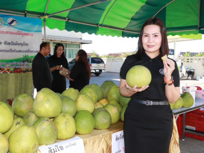 กรมส่งเสริมสหกรณ์เตรียมคิกออฟศูนย์กระจายสินค้าสหกรณ์หวังช่วยกระจายสินค้าดาวเด่นประจำจังหวัดทั่วไทย ... พารามิเตอร์รูปภาพ 10