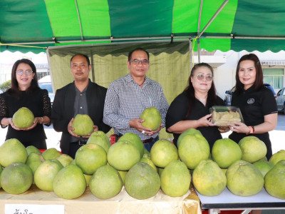 กรมส่งเสริมสหกรณ์เตรียมคิกออฟศูนย์กระจายสินค้าสหกรณ์หวังช่วยกระจายสินค้าดาวเด่นประจำจังหวัดทั่วไทย ... พารามิเตอร์รูปภาพ 11