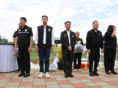 นางสาวปิยะรัฐชย์ ติยะไพรัช ... พารามิเตอร์รูปภาพ 11