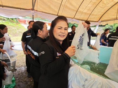 นางสาวปิยะรัฐชย์ ติยะไพรัช ... พารามิเตอร์รูปภาพ 6