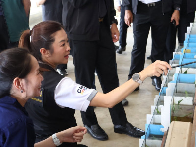 นางสาวปิยะรัฐชย์ ติยะไพรัช ... พารามิเตอร์รูปภาพ 4