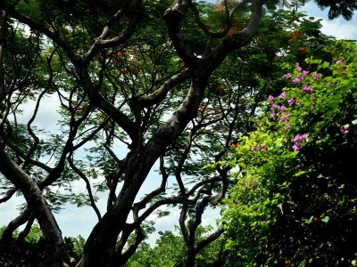 รองอธิบดีกรมส่งเสริมสหกรณ์ พร้อมด้วย ... พารามิเตอร์รูปภาพ 28