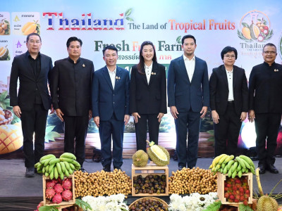 กระทรวงเกษตรฯ ยกทัพผลไม้ไทย 4 ภาค บุกลานคนเมือง ... พารามิเตอร์รูปภาพ 3