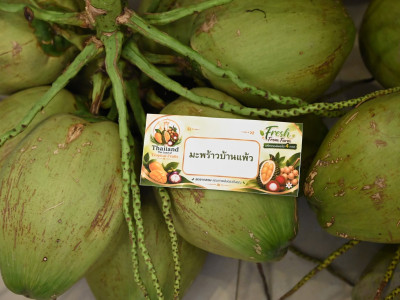 กระทรวงเกษตรฯ ยกทัพผลไม้ไทย 4 ภาค บุกลานคนเมือง ... พารามิเตอร์รูปภาพ 7