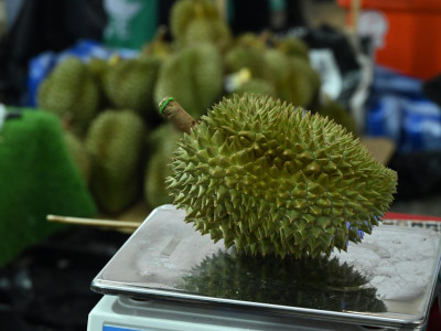 กระทรวงเกษตรฯ เปิดงาน “Thailand : The Land of Tropical ... พารามิเตอร์รูปภาพ 11
