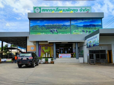 ส่อง 5 แบรนด์ดังสหกรณ์โคนมไทยผลิตภัณฑ์เพิ่มคุณค่า ... พารามิเตอร์รูปภาพ 5