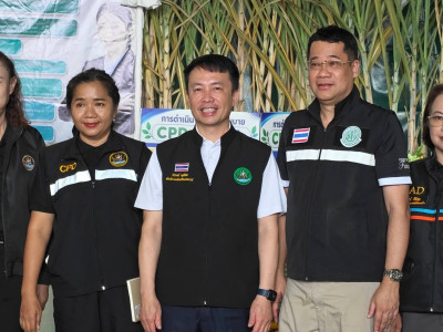 นางสาวปิยะรัฐชย์ ติยะไพรัช ... พารามิเตอร์รูปภาพ 17