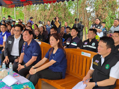 นางสาวปิยะรัฐชย์ ติยะไพรัช ... พารามิเตอร์รูปภาพ 10