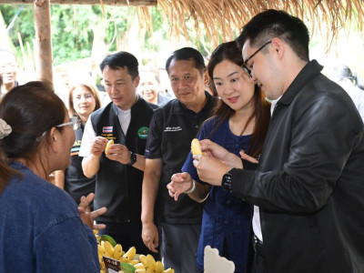 นางสาวปิยะรัฐชย์ ติยะไพรัช ... พารามิเตอร์รูปภาพ 11