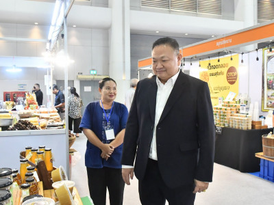 นายอนุทิน ชาญวีรกูล ... พารามิเตอร์รูปภาพ 19