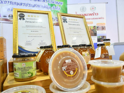 นายอนุทิน ชาญวีรกูล ... พารามิเตอร์รูปภาพ 22
