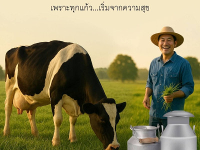 นมคุณภาพดี จากวัวอารมณ์ดี “นมพัทลุง” ผลิตจากนมโคแท้ 100% พารามิเตอร์รูปภาพ 10