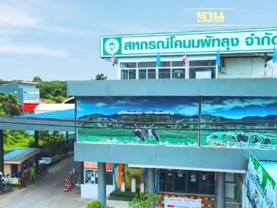 นมคุณภาพดี จากวัวอารมณ์ดี “นมพัทลุง” ผลิตจากนมโคแท้ 100% พารามิเตอร์รูปภาพ 5