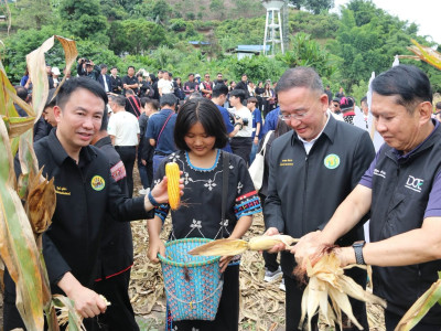 นายยศชนัน วงศ์สวัสดิ์ ... พารามิเตอร์รูปภาพ 37