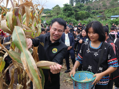 นายยศชนัน วงศ์สวัสดิ์ ... พารามิเตอร์รูปภาพ 38