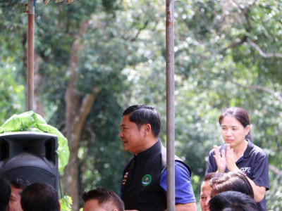 นางสาวปิยะรัฐชย์ ติยะไพรัช ... พารามิเตอร์รูปภาพ 22