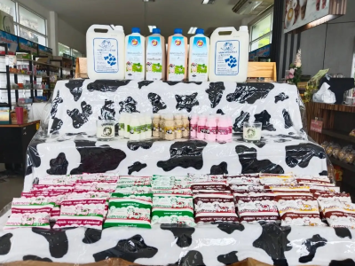 จาก “NATA Milk” สู่ “Dairy Dose” สหกรณ์โคนมนครปฐม จำกัด ... พารามิเตอร์รูปภาพ 7
