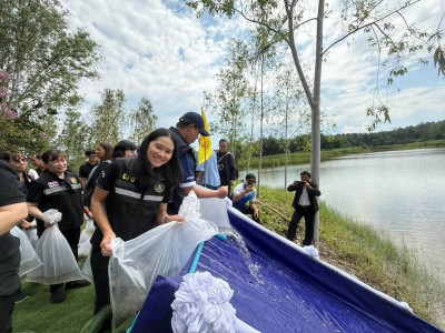 นางสาวศรีโสภา โกฏคำลือ ... พารามิเตอร์รูปภาพ 29