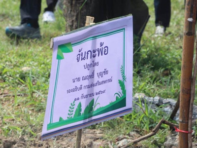 นางสาวศรีโสภา โกฏคำลือ ... พารามิเตอร์รูปภาพ 35
