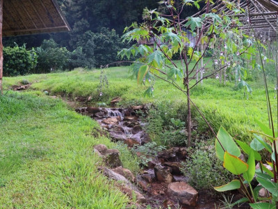 รองอธิบดีกรมส่งเสริมสหกรณ์ ... พารามิเตอร์รูปภาพ 16