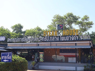 สุดยอดเนื้อโคเกรดพรีเมี่ยมจากฟาร์มเลี้ยงสู่โต๊ะอาหารยก ... พารามิเตอร์รูปภาพ 7