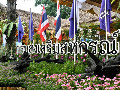 รองอธิบดีกรมส่งเสริมสหกรณ์ พร้อมด้วย ผู้ตรวจราชการกรม ... พารามิเตอร์รูปภาพ 32