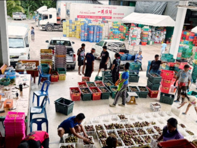 กรมส่งเสริมสหกรณ์เตรียมทุ่มเงินกองทุนพัฒนาสหกรณ์ 500 ล. ... พารามิเตอร์รูปภาพ 11