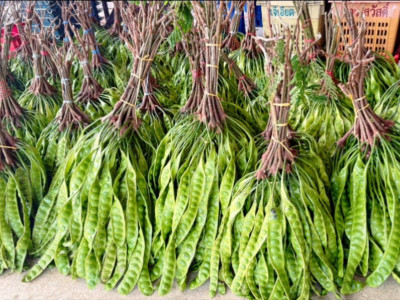 กรมส่งเสริมสหกรณ์เตรียมทุ่มเงินกองทุนพัฒนาสหกรณ์ 500 ล. ... พารามิเตอร์รูปภาพ 13
