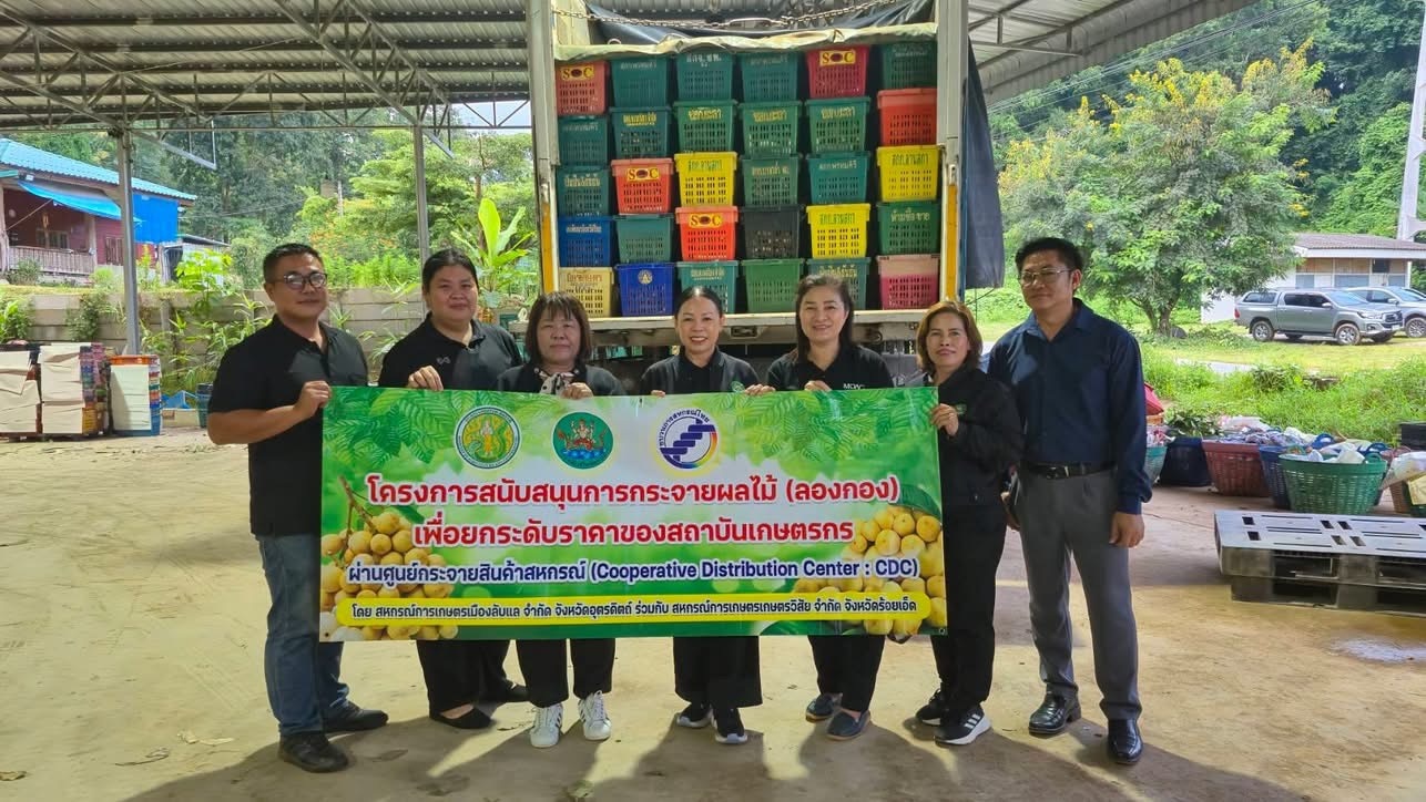 อุตรดิตถ์เชื่อมโยงเครือข่ายสหกรณ์ ส่งลองกองคุณภาพ 5.4 ตัน ... พารามิเตอร์รูปภาพ 1