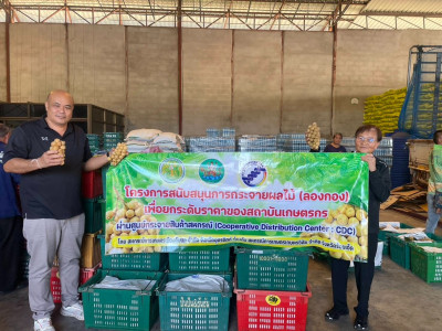 อุตรดิตถ์เชื่อมโยงเครือข่ายสหกรณ์ ส่งลองกองคุณภาพ 5.4 ตัน ... พารามิเตอร์รูปภาพ 5