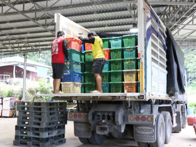 อุตรดิตถ์เชื่อมโยงเครือข่ายสหกรณ์ ส่งลองกองคุณภาพ 5.4 ตัน ... พารามิเตอร์รูปภาพ 12