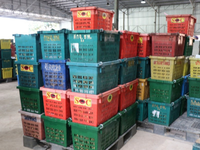 อุตรดิตถ์เชื่อมโยงเครือข่ายสหกรณ์ ส่งลองกองคุณภาพ 5.4 ตัน ... พารามิเตอร์รูปภาพ 21