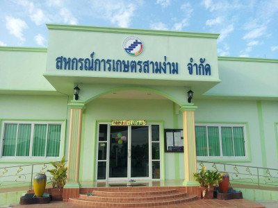 “รมช.ปิยรัฐชย์” ห่วงเกษตรกรชาวนาเมืองพิจิตร ... พารามิเตอร์รูปภาพ 3