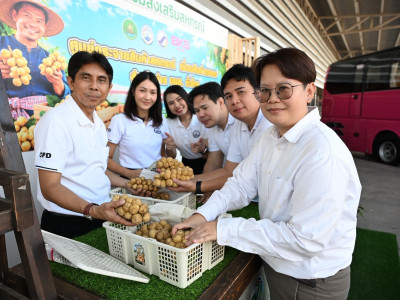กรมส่งเสริมสหกรณ์ผนึก บขส. ยกระดับผลไม้อุตรดิตถ์สู่คนเมือง พารามิเตอร์รูปภาพ 1