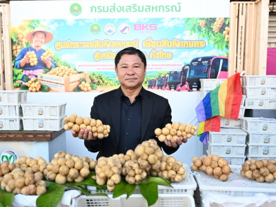 กรมส่งเสริมสหกรณ์ผนึก บขส. ยกระดับผลไม้อุตรดิตถ์สู่คนเมือง พารามิเตอร์รูปภาพ 3