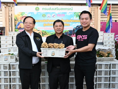 กรมส่งเสริมสหกรณ์ผนึก บขส. ยกระดับผลไม้อุตรดิตถ์สู่คนเมือง พารามิเตอร์รูปภาพ 15