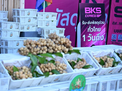 กรมส่งเสริมสหกรณ์ผนึก บขส. ยกระดับผลไม้อุตรดิตถ์สู่คนเมือง พารามิเตอร์รูปภาพ 22