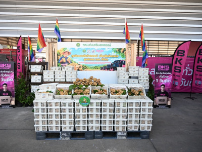 กรมส่งเสริมสหกรณ์ผนึก บขส. ยกระดับผลไม้อุตรดิตถ์สู่คนเมือง พารามิเตอร์รูปภาพ 24