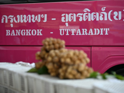 กรมส่งเสริมสหกรณ์ผนึก บขส. ยกระดับผลไม้อุตรดิตถ์สู่คนเมือง พารามิเตอร์รูปภาพ 26
