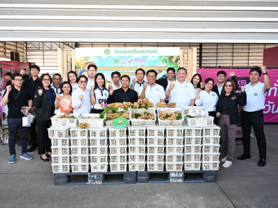 กรมส่งเสริมสหกรณ์ผนึก บขส. ยกระดับผลไม้อุตรดิตถ์สู่คนเมือง พารามิเตอร์รูปภาพ 29