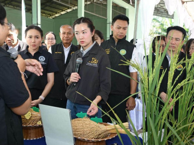 นางสาวปิยะรัฐชย์ ติยะไพรัช ... พารามิเตอร์รูปภาพ 24
