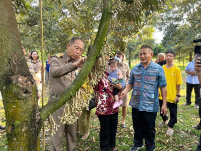 องคมนตรี เยี่ยมชมแปลงเกษตรชาวสวนทุเรียนบ้านร่วมใจพัฒนา พารามิเตอร์รูปภาพ 10