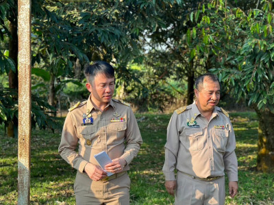 องคมนตรี เยี่ยมชมแปลงเกษตรชาวสวนทุเรียนบ้านร่วมใจพัฒนา พารามิเตอร์รูปภาพ 5